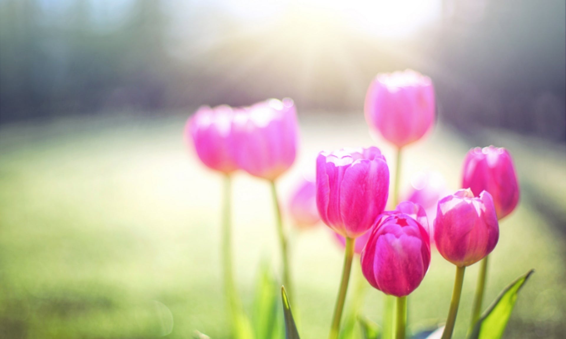 Infertility Awareness - 10 Fertility Boosting Tips